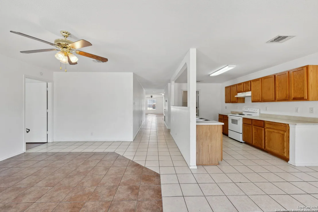 Photo of 284 Texas Mulberry