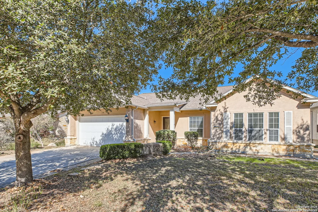 Photo of 12742 Texas Thistle
