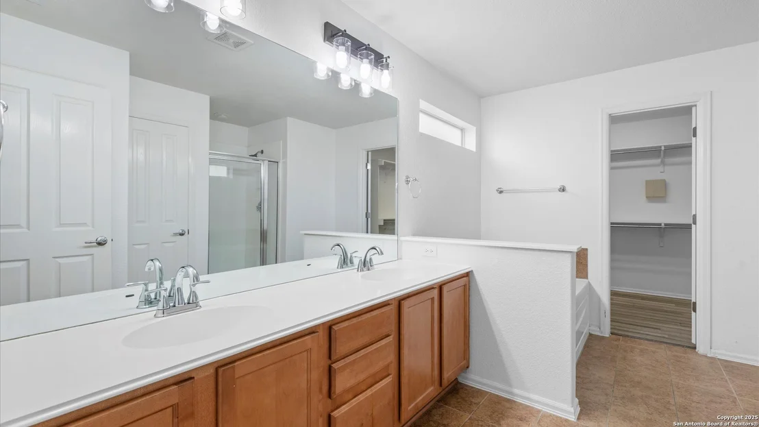 Photo of 154 sassafras