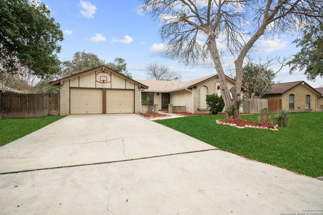 Photo of 1606 forest spring