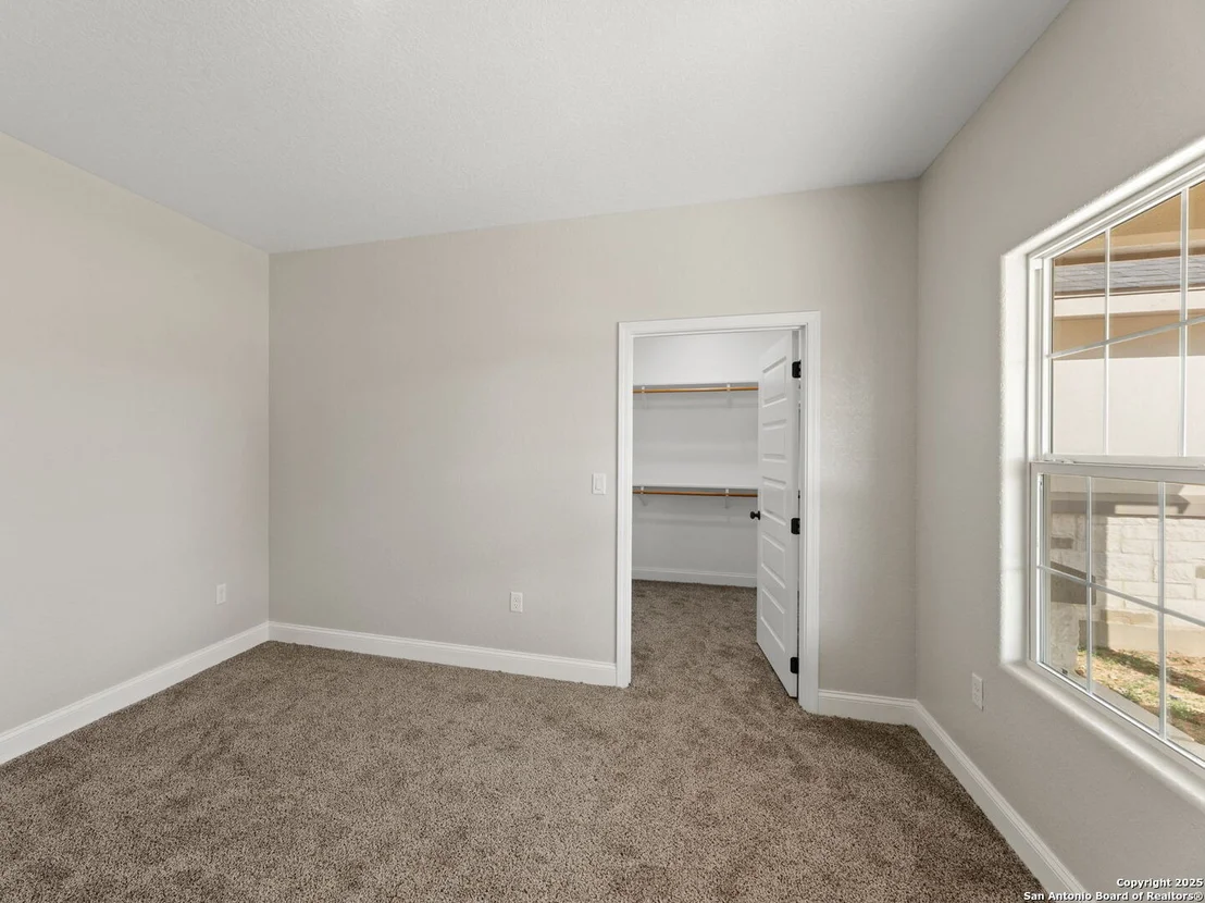 Photo of 52 Peach Tree