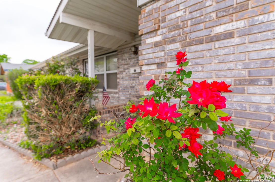 Photo of 409 Pecan Dr.