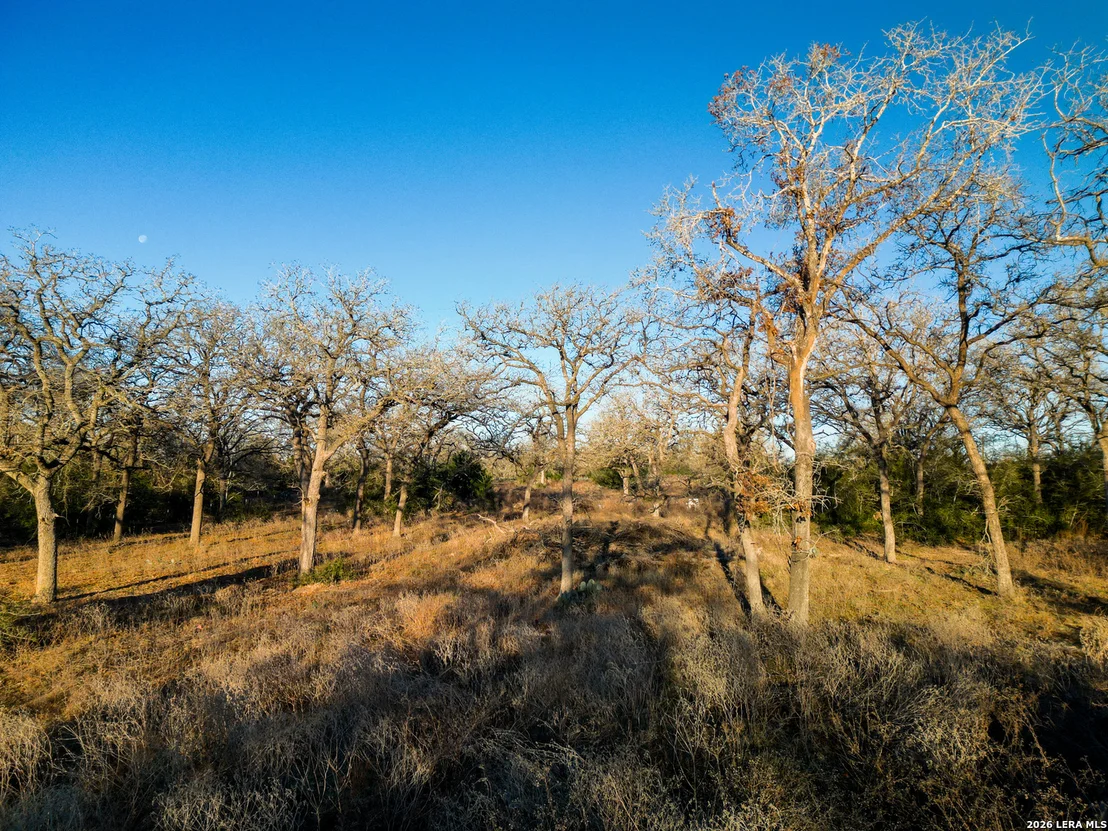 Photo of TBD Sandy Pine