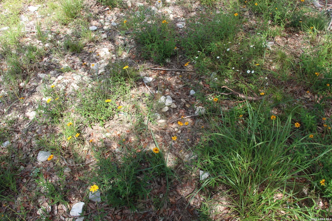 Photo of LOT 52 Clear Water Cyn