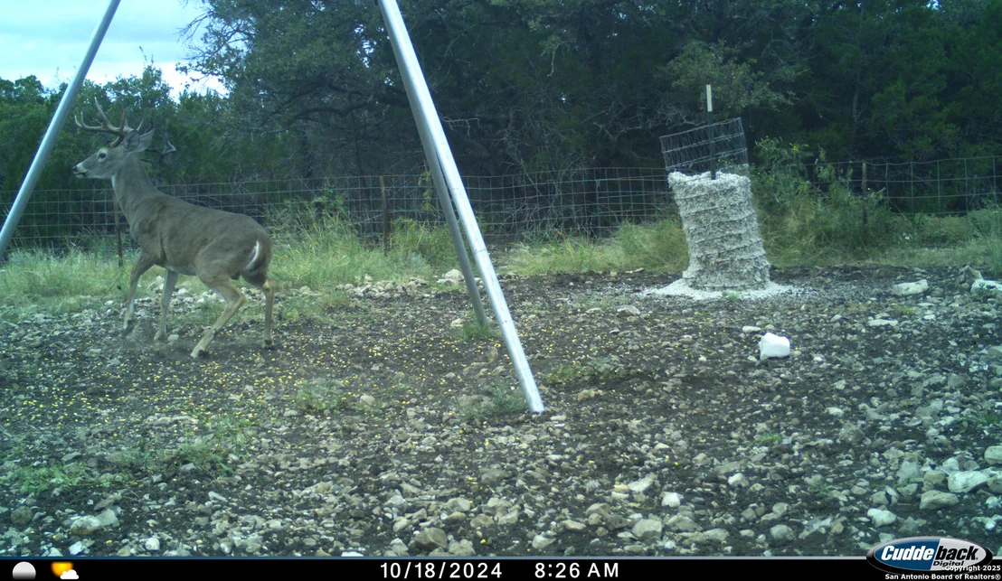 Photo of TBD Mailtrail Rd