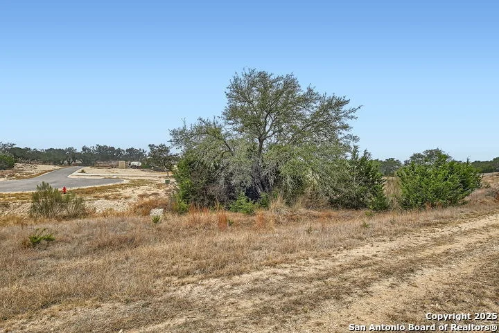 Photo of 34717 Mayer Oaks