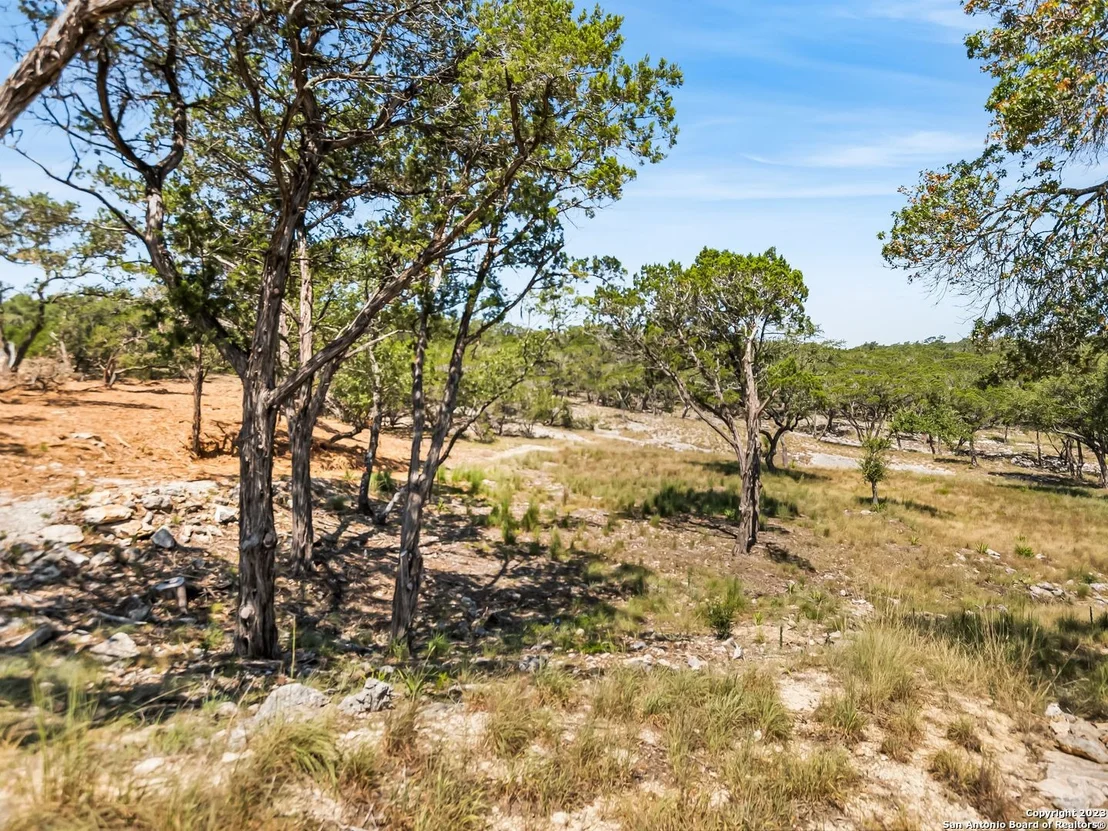Photo of 2553 GEORGE PASS