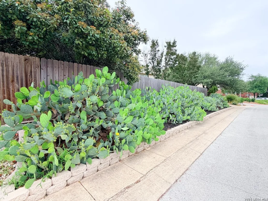 Photo of 22303 Mesa Butte
