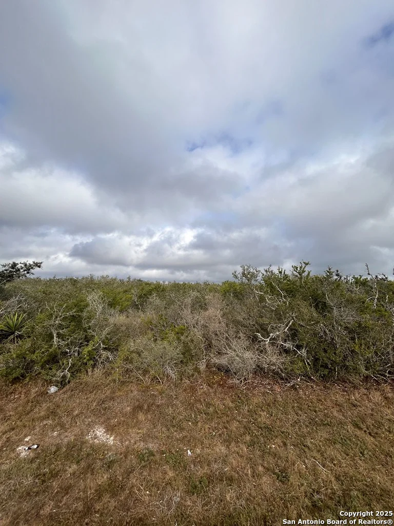 Photo of TBD Hackberry Dr