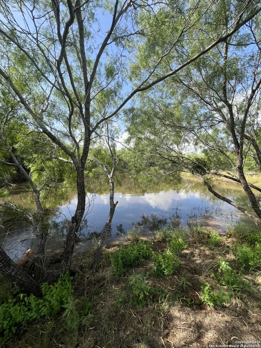 Photo of 707 deer trail