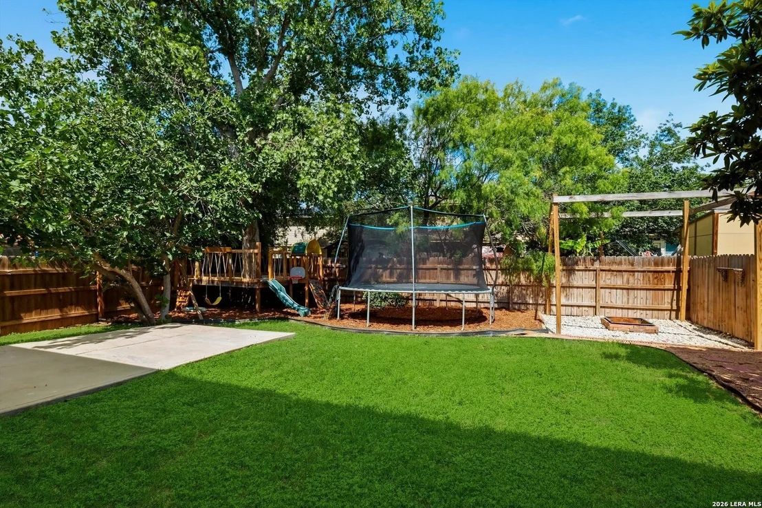 Photo of 802 Celosia