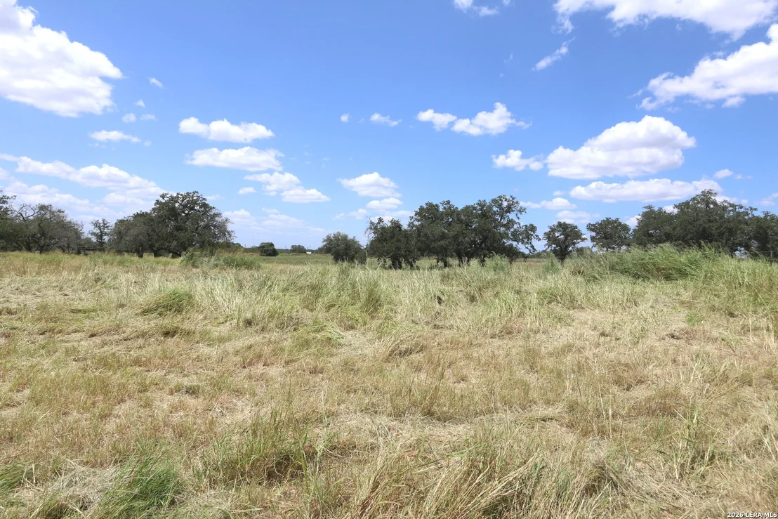 Photo of 219 County Road 331