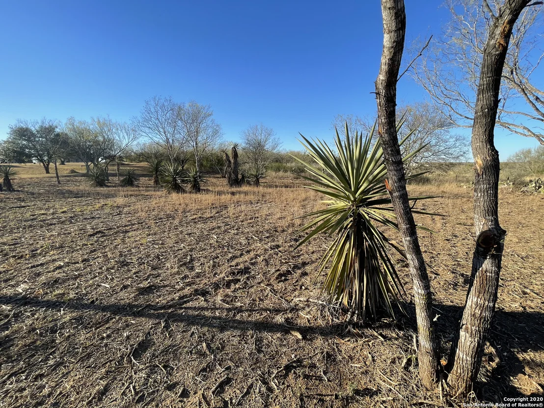Photo of 297 County Road 1647