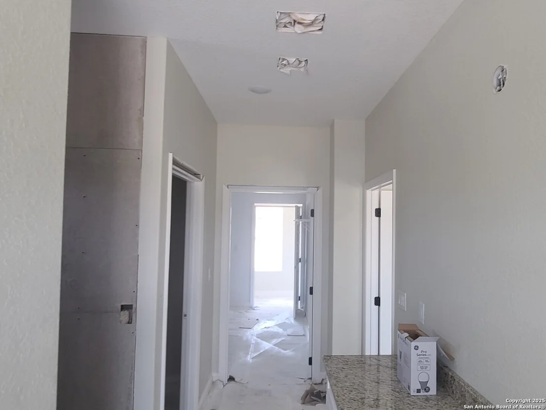 Photo of 52 Peach Tree