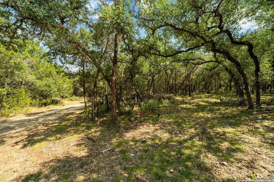 Photo of 1775 Lost TRL