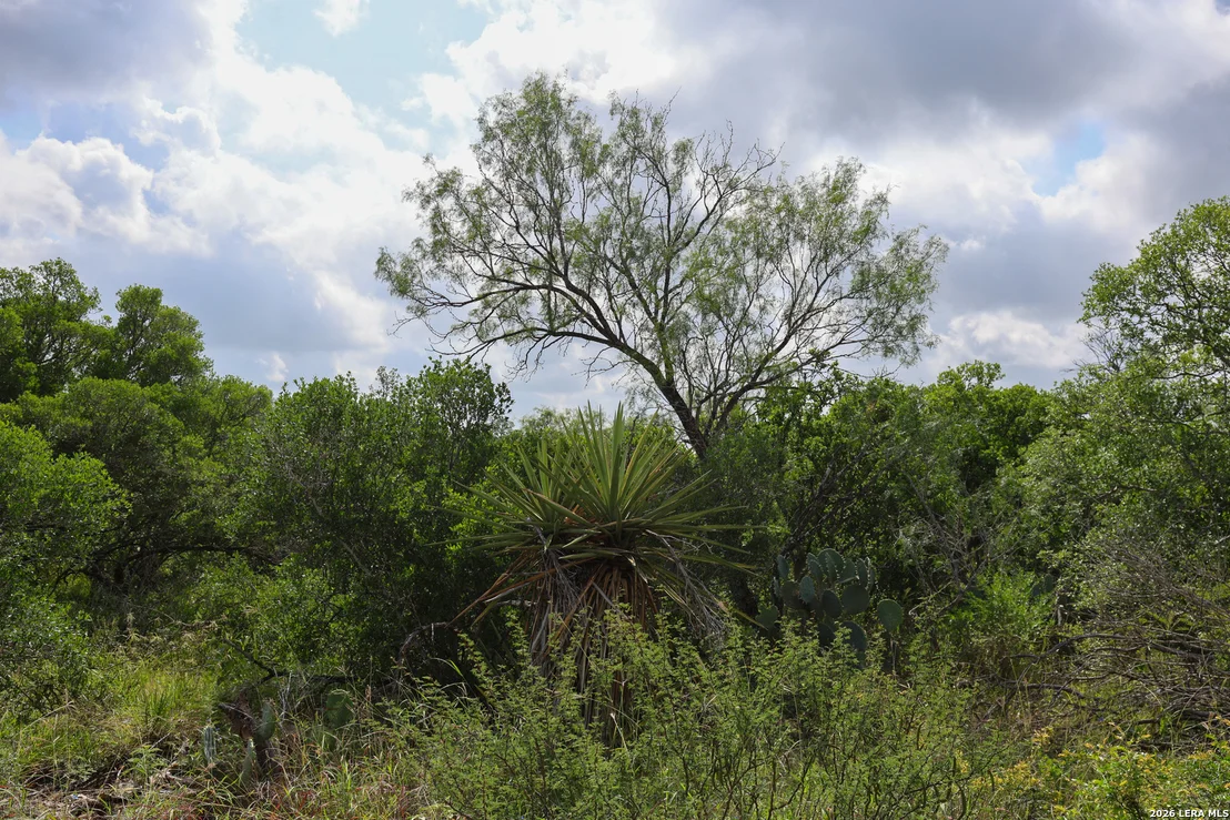 Photo of 8711 County Road 1301
