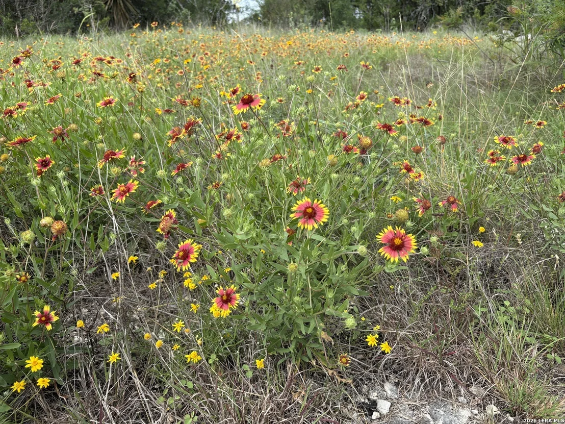 Photo of 460 County Road 2753