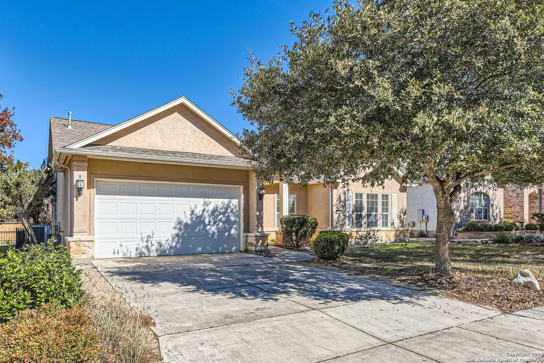 Photo of 12742 Texas Thistle