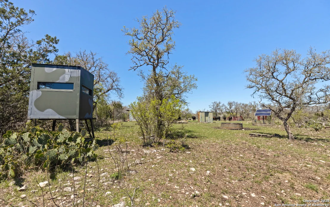 Photo of 1974 PR 3214