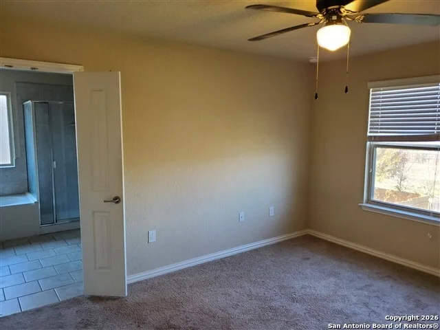 Photo of 11531 Pelican