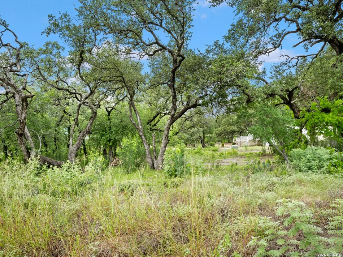 Photo of 11 Viewpark