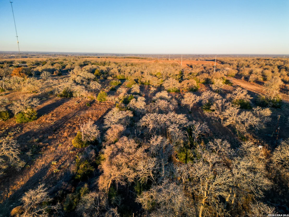 Photo of TBD Sandy Pine