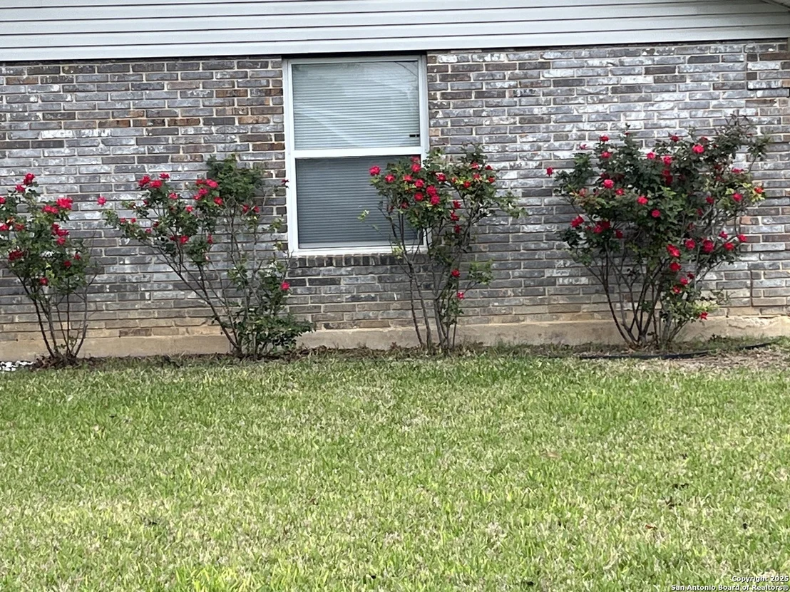 Photo of 409 Pecan Dr.