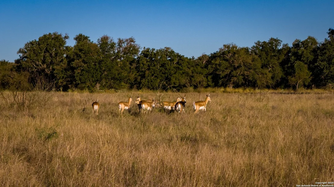 Photo of 7702 ranch road 965