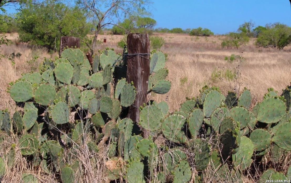Photo of 435 County Road 7715