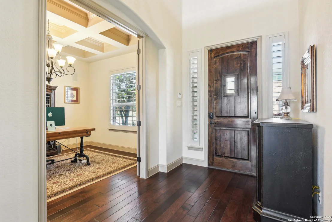 Photo of 25612 Santolina