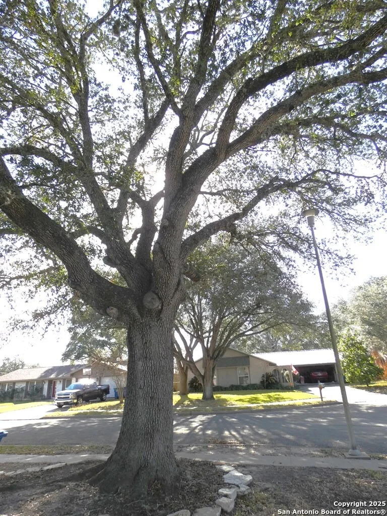 Photo of 1402 Las Palmas