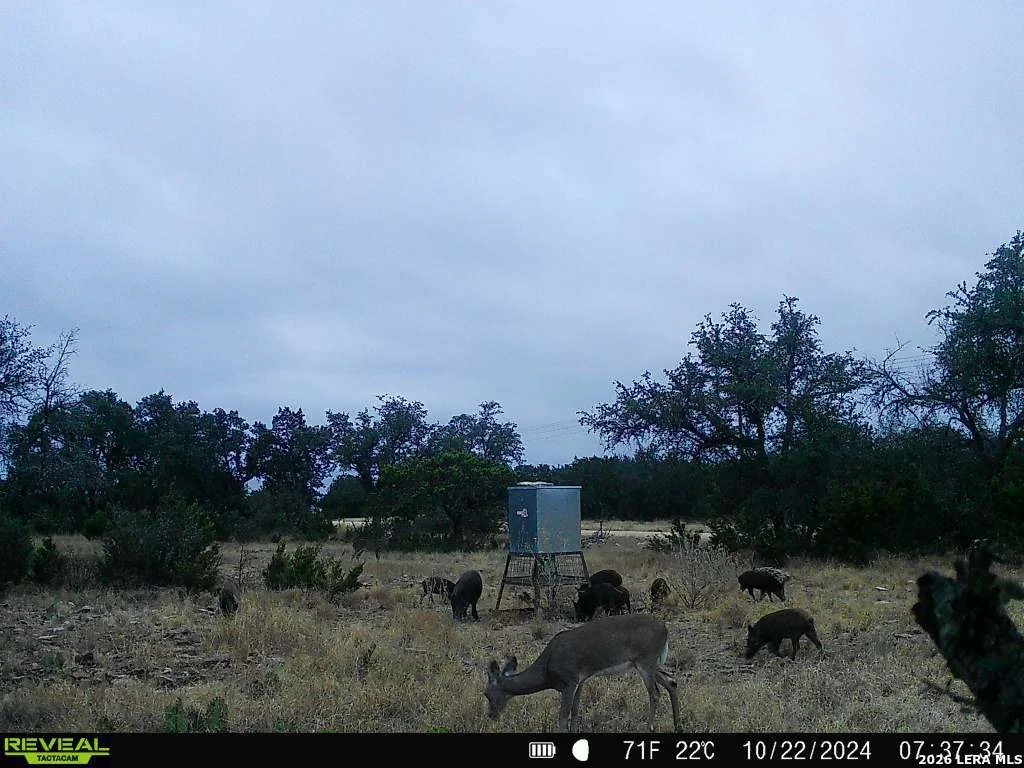Photo of 07 E Bison Way