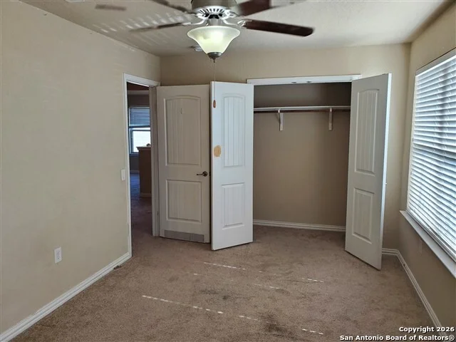 Photo of 11531 Pelican