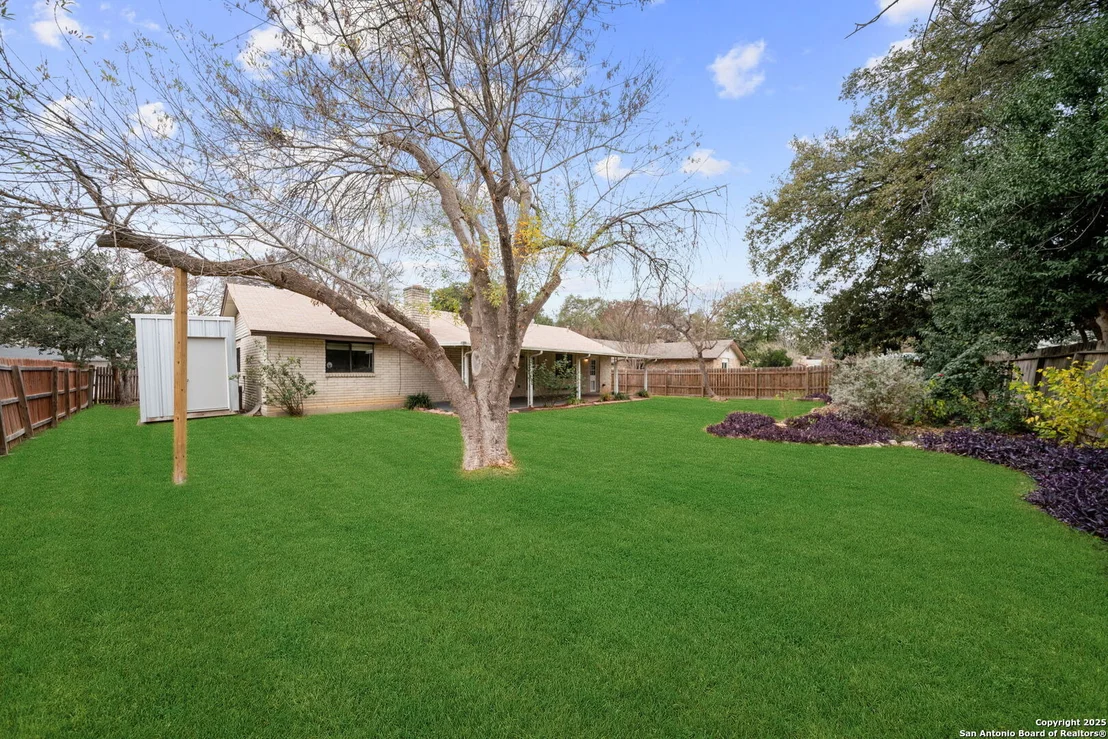 Photo of 1606 forest spring
