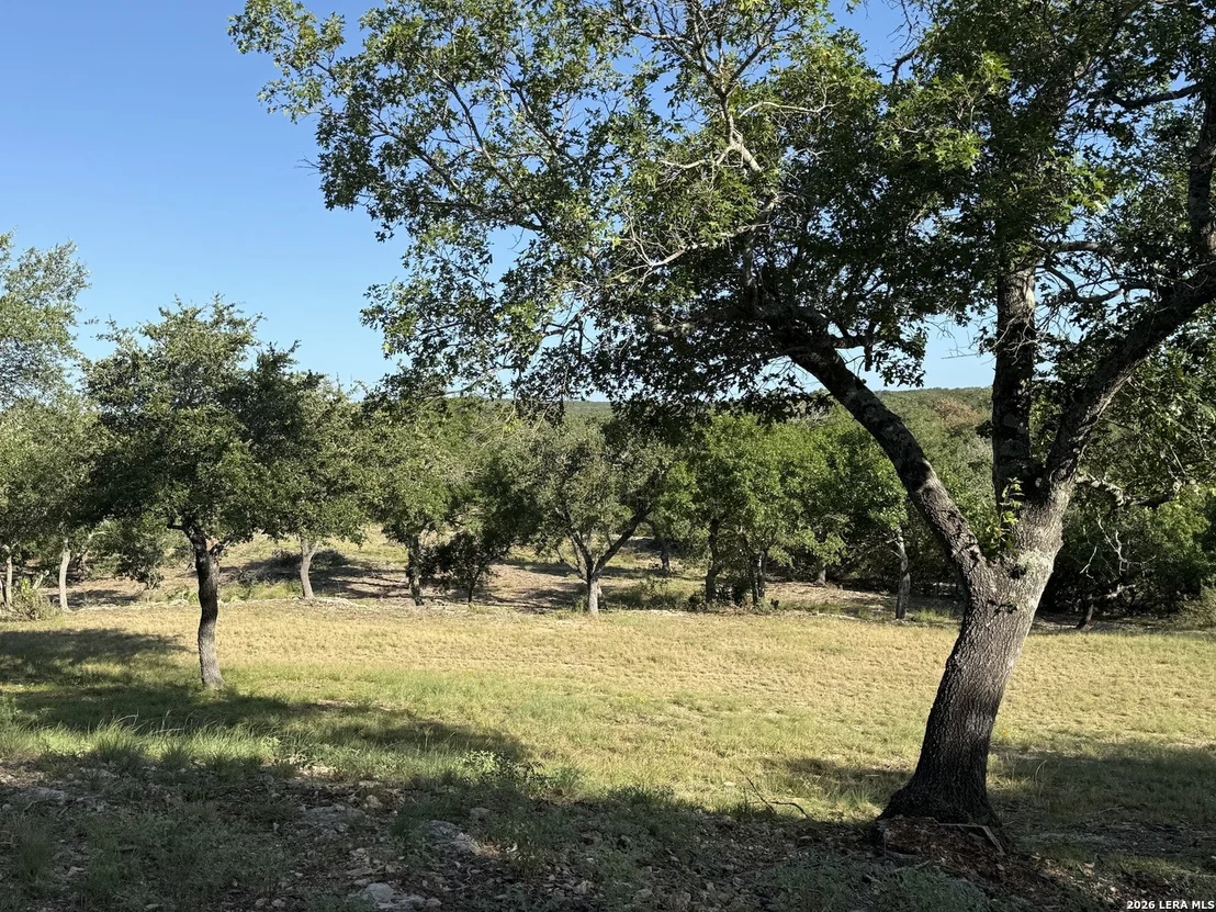 Photo of 134 Lantana Cerro