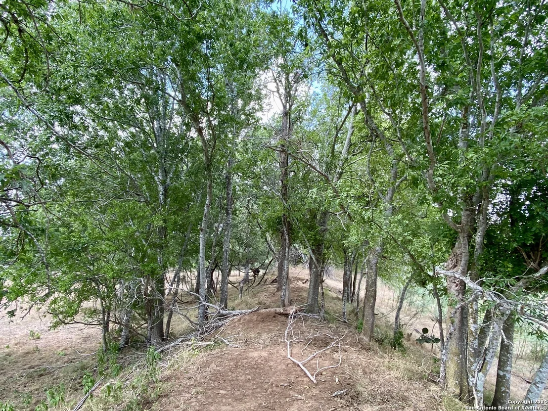 Photo of 2176 County Road 221