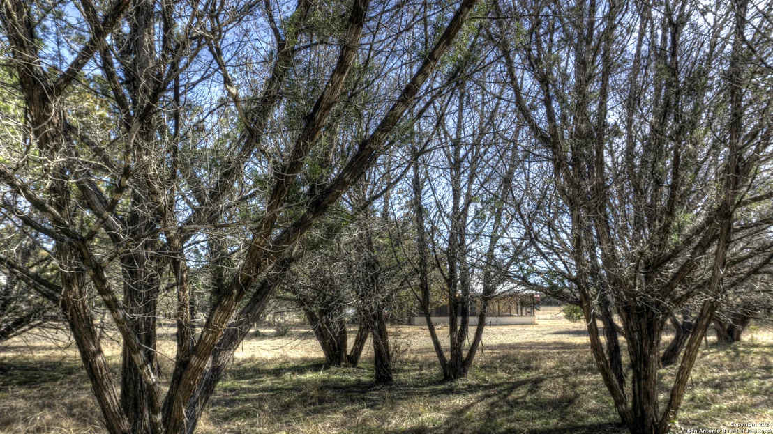 Photo of 22 SQUIRREL BEND