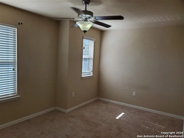 Photo of 11531 Pelican