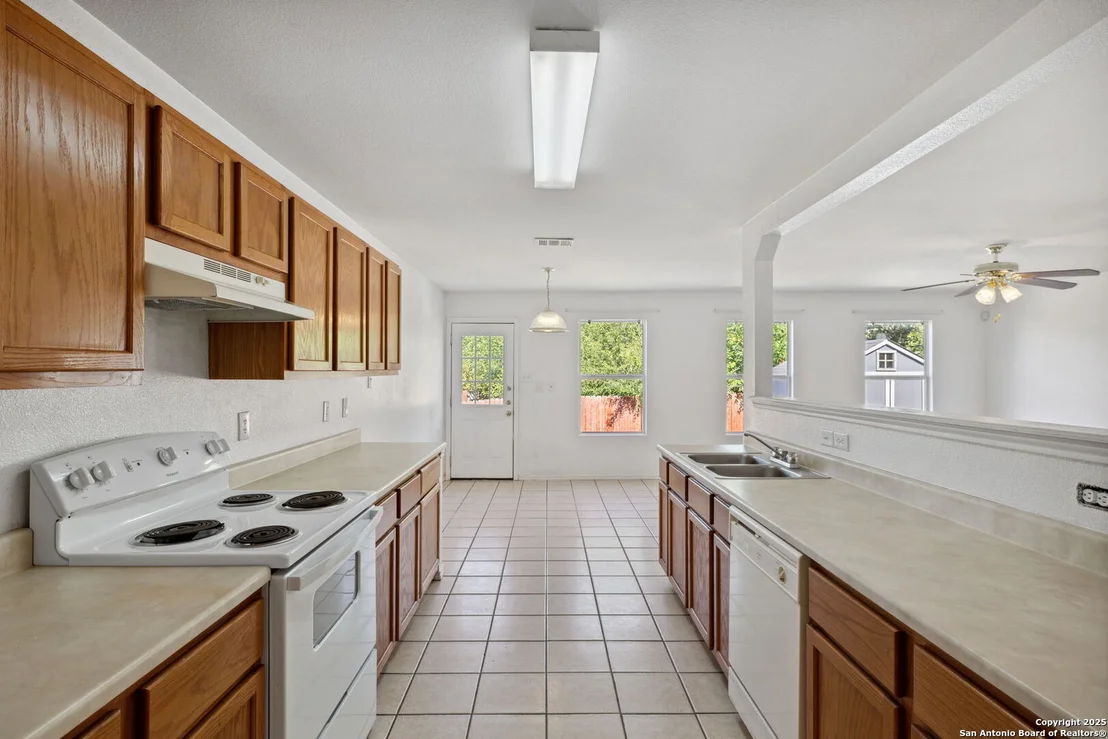 Photo of 284 Texas Mulberry
