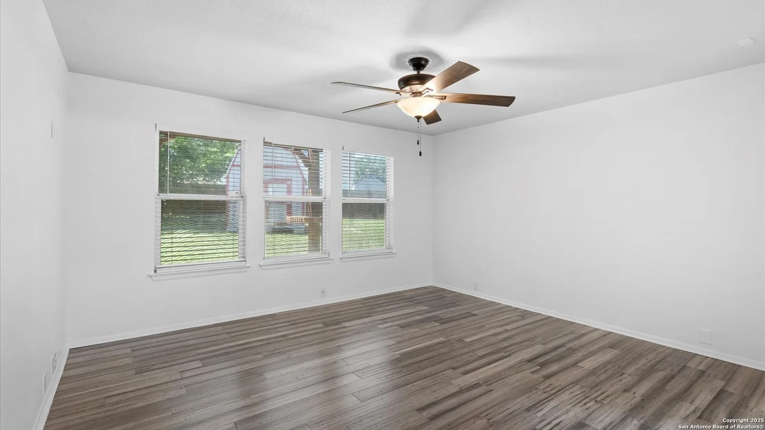 Photo of 154 sassafras
