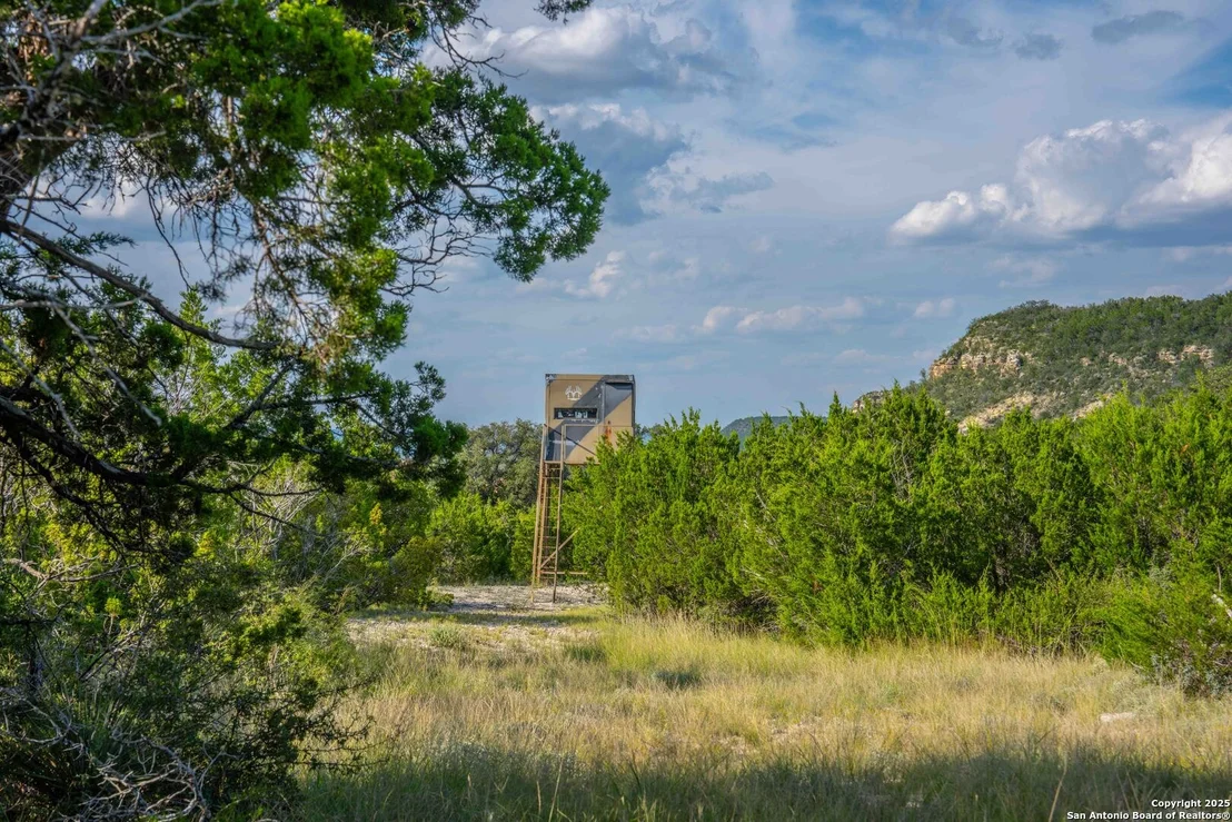 Photo of TBD FM 2169