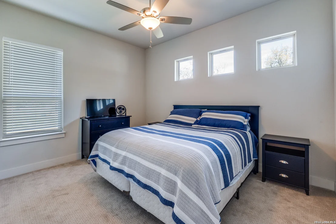 Photo of 230 Sabella
