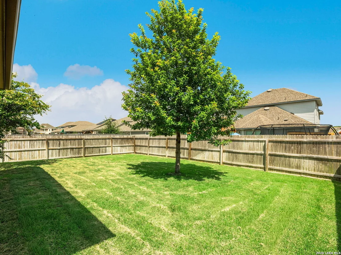 Photo of 3232 Field Thistle