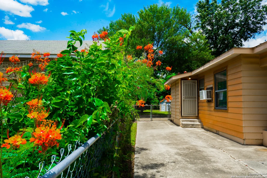 Photo of 323 Pletz