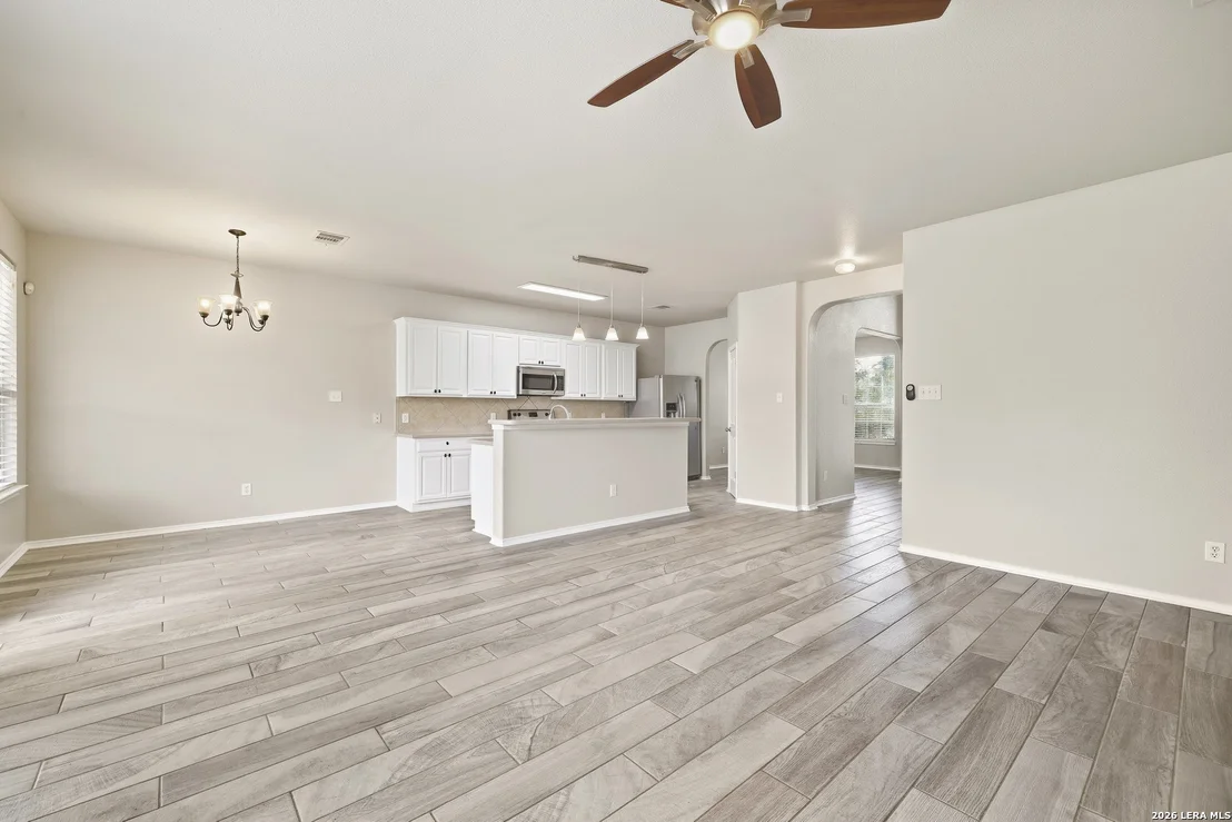 Photo of 25602 Sophora