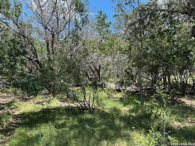 Photo of 533 SQUIRREL BND
