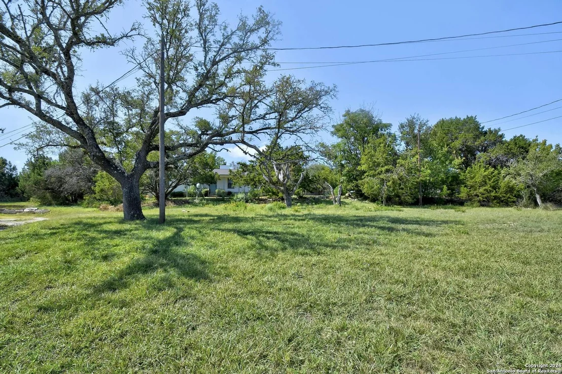 Photo of 105 blue heron