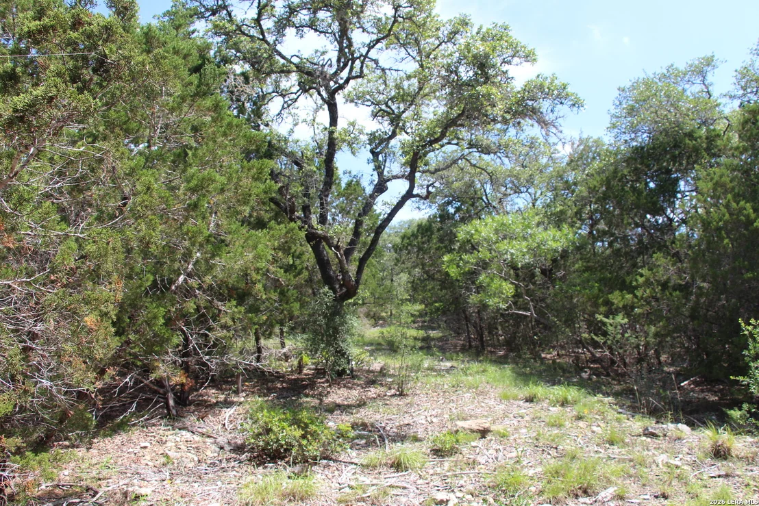Photo of LOT 52 Clear Water Cyn