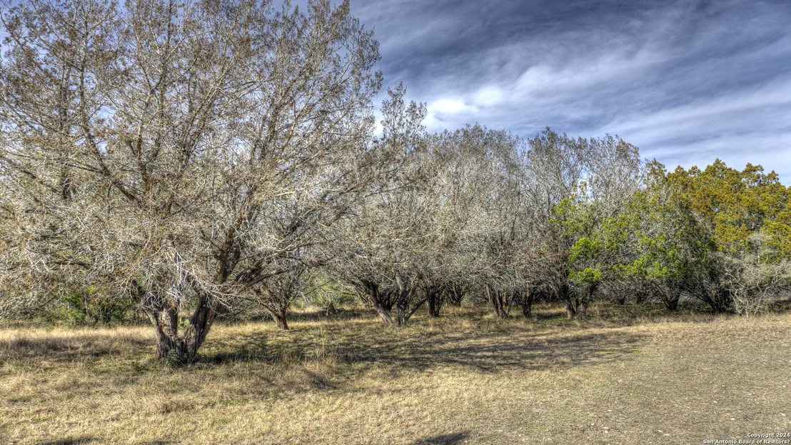 Photo of 22 SQUIRREL BEND