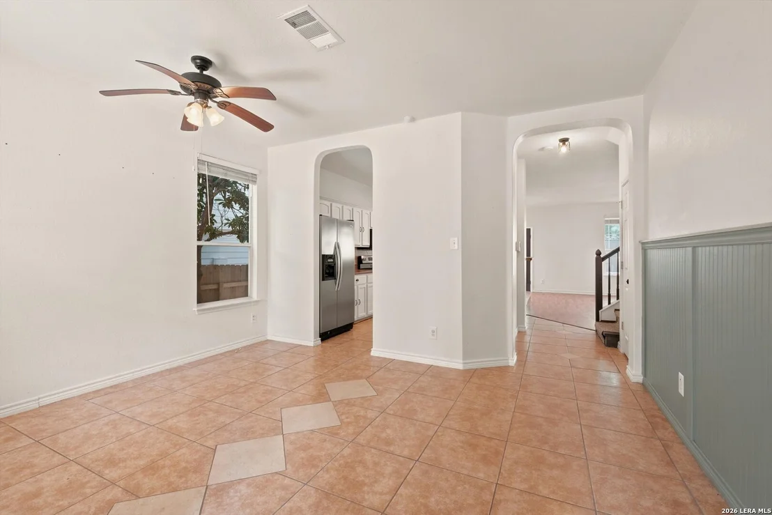 Photo of 802 Celosia